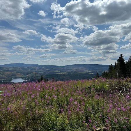 Bergmannsruh Lejlighed Clausthal-Zellerfeld Eksteriør billede